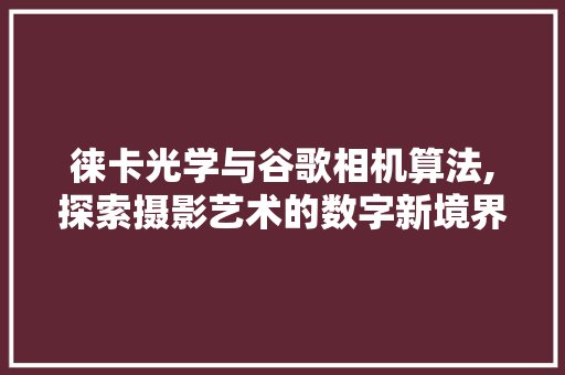 徕卡光学与谷歌相机算法,探索摄影艺术的数字新境界