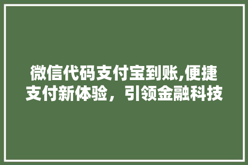 微信代码支付宝到账,便捷支付新体验，引领金融科技潮流