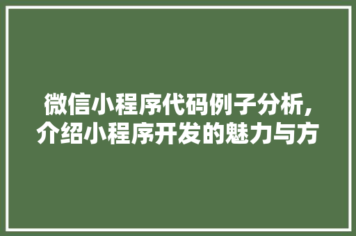 微信小程序代码例子分析,介绍小程序开发的魅力与方法