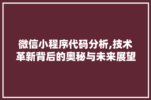 微信小程序代码分析,技术革新背后的奥秘与未来展望