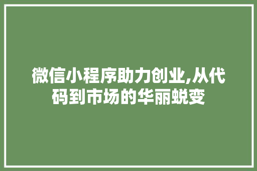 微信小程序助力创业,从代码到市场的华丽蜕变