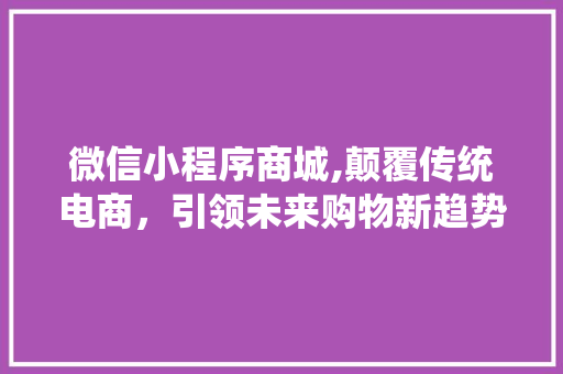 微信小程序商城,颠覆传统电商，引领未来购物新趋势