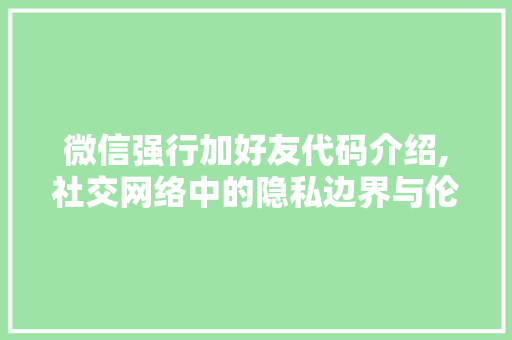 微信强行加好友代码介绍,社交网络中的隐私边界与伦理思考