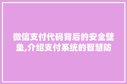 微信支付代码背后的安全壁垒,介绍支付系统的智慧防线