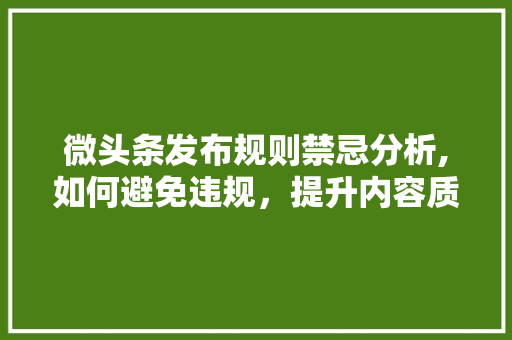 微头条发布规则禁忌分析,如何避免违规，提升内容质量