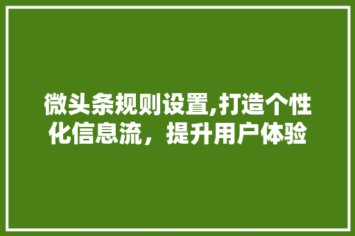 微头条规则设置,打造个性化信息流，提升用户体验