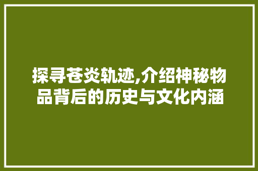 探寻苍炎轨迹,介绍神秘物品背后的历史与文化内涵 Bootstrap