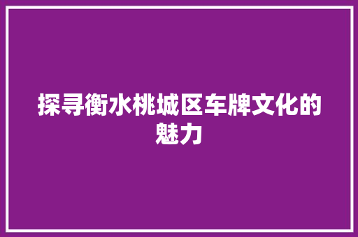 探寻衡水桃城区车牌文化的魅力