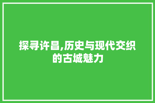 探寻许昌,历史与现代交织的古城魅力 JavaScript