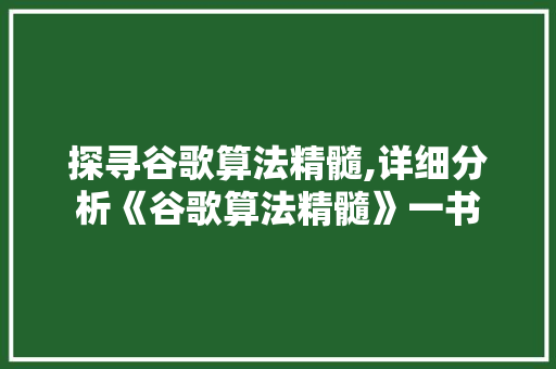 探寻谷歌算法精髓,详细分析《谷歌算法精髓》一书