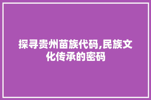 探寻贵州苗族代码,民族文化传承的密码