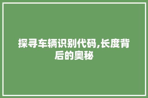 探寻车辆识别代码,长度背后的奥秘