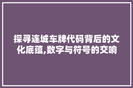 探寻连城车牌代码背后的文化底蕴,数字与符号的交响曲