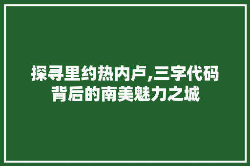 探寻里约热内卢,三字代码背后的南美魅力之城