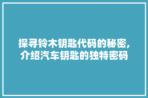 探寻铃木钥匙代码的秘密,介绍汽车钥匙的独特密码