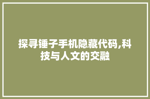 探寻锤子手机隐藏代码,科技与人文的交融