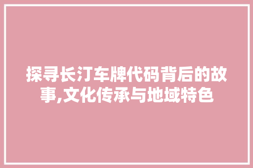 探寻长汀车牌代码背后的故事,文化传承与地域特色