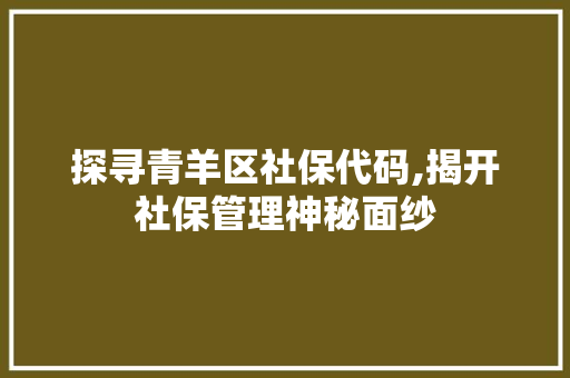 探寻青羊区社保代码,揭开社保管理神秘面纱 Vue.js