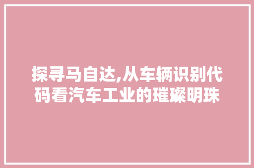 探寻马自达,从车辆识别代码看汽车工业的璀璨明珠