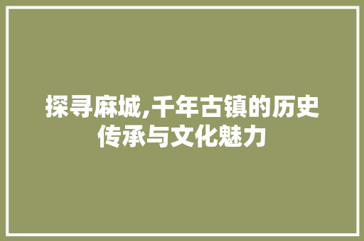 探寻麻城,千年古镇的历史传承与文化魅力