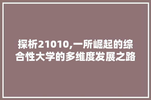 探析21010,一所崛起的综合性大学的多维度发展之路