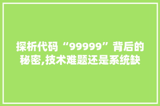 探析代码“99999”背后的秘密,技术难题还是系统缺陷