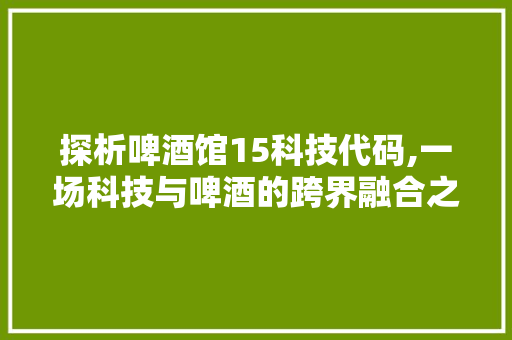 探析啤酒馆15科技代码,一场科技与啤酒的跨界融合之旅