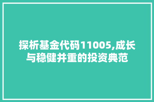 探析基金代码11005,成长与稳健并重的投资典范