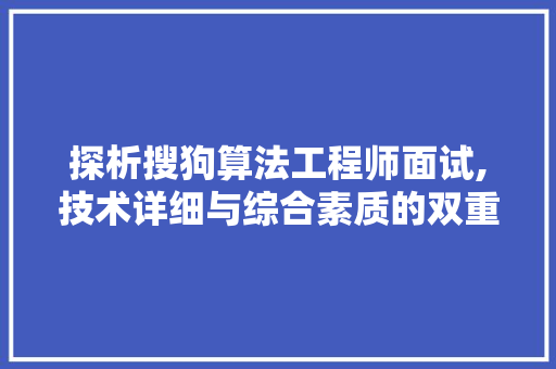 探析搜狗算法工程师面试,技术详细与综合素质的双重挑战