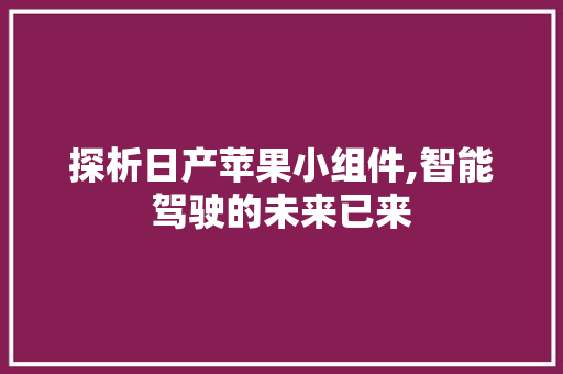 探析日产苹果小组件,智能驾驶的未来已来