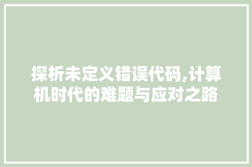 探析未定义错误代码,计算机时代的难题与应对之路