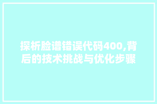 探析脸谱错误代码400,背后的技术挑战与优化步骤