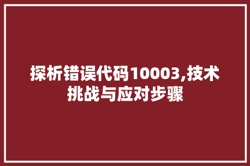 探析错误代码10003,技术挑战与应对步骤