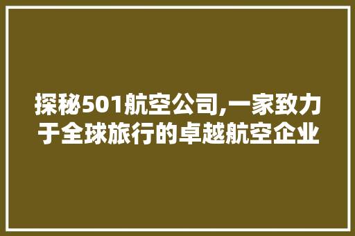 探秘501航空公司,一家致力于全球旅行的卓越航空企业