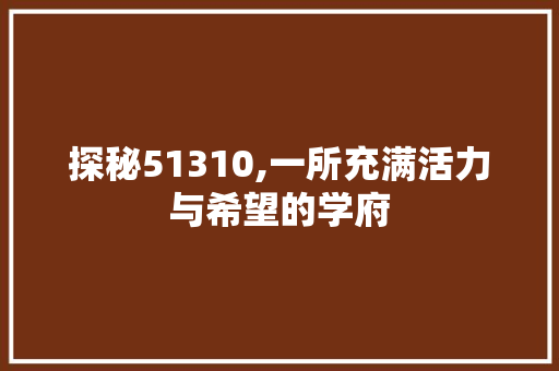 探秘51310,一所充满活力与希望的学府