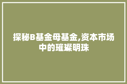 探秘B基金母基金,资本市场中的璀璨明珠