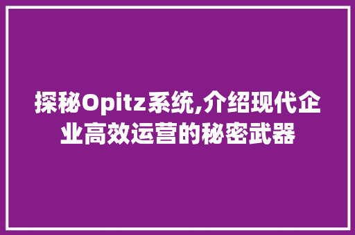 探秘Opitz系统,介绍现代企业高效运营的秘密武器