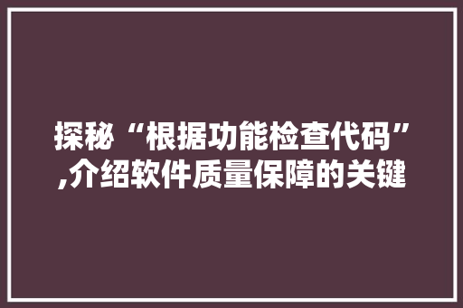 探秘“根据功能检查代码”,介绍软件质量保障的关键技术