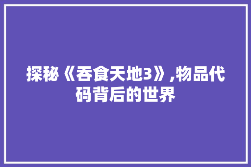 探秘《吞食天地3》,物品代码背后的世界