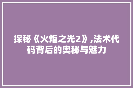 探秘《火炬之光2》,法术代码背后的奥秘与魅力