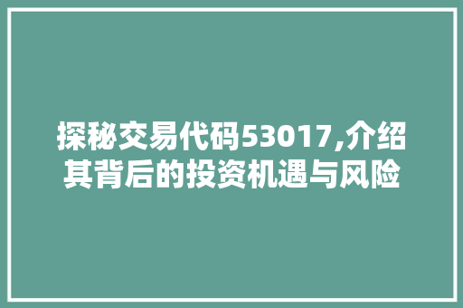 探秘交易代码53017,介绍其背后的投资机遇与风险