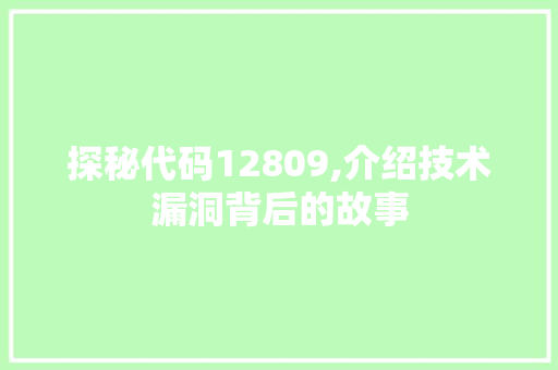 探秘代码12809,介绍技术漏洞背后的故事