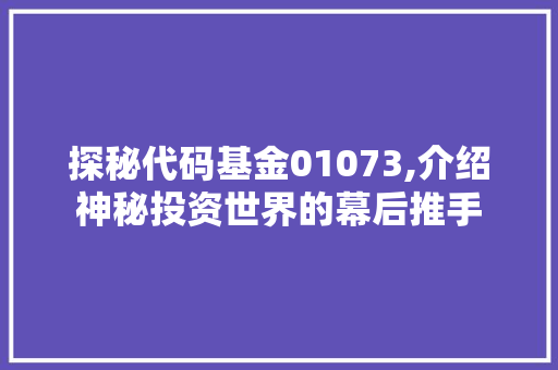 探秘代码基金01073,介绍神秘投资世界的幕后推手