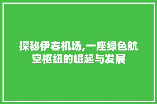 探秘伊春机场,一座绿色航空枢纽的崛起与发展