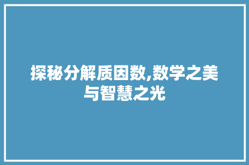 探秘分解质因数,数学之美与智慧之光