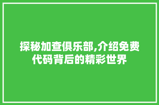 探秘加查俱乐部,介绍免费代码背后的精彩世界