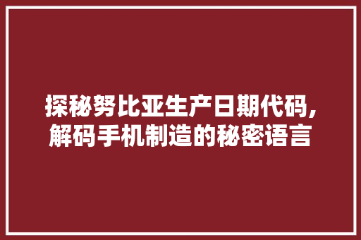 探秘努比亚生产日期代码,解码手机制造的秘密语言