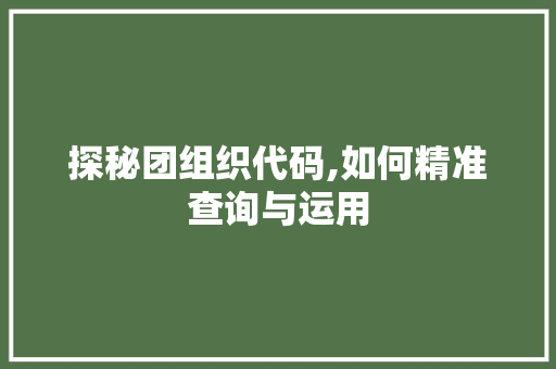 探秘团组织代码,如何精准查询与运用