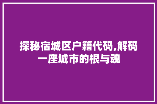 探秘宿城区户籍代码,解码一座城市的根与魂