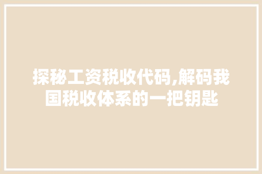 探秘工资税收代码,解码我国税收体系的一把钥匙